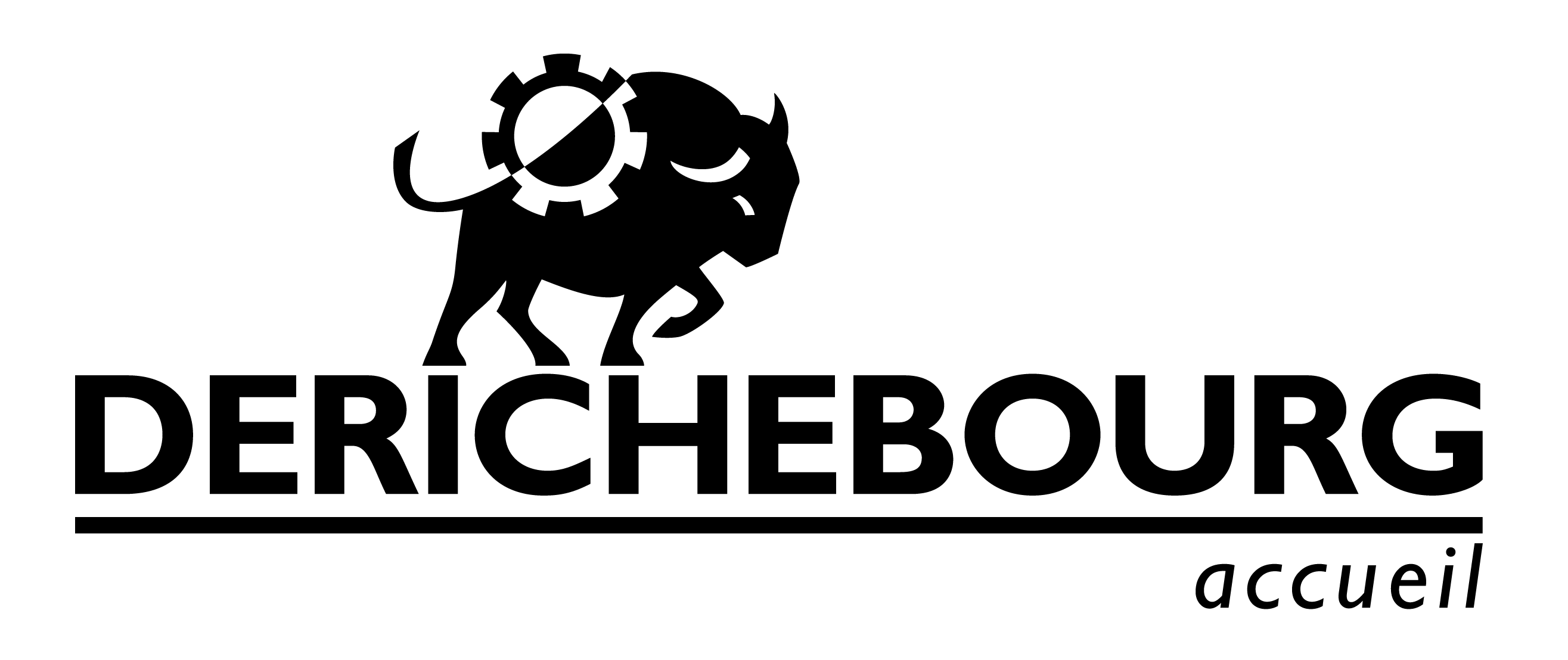 Derichebourg